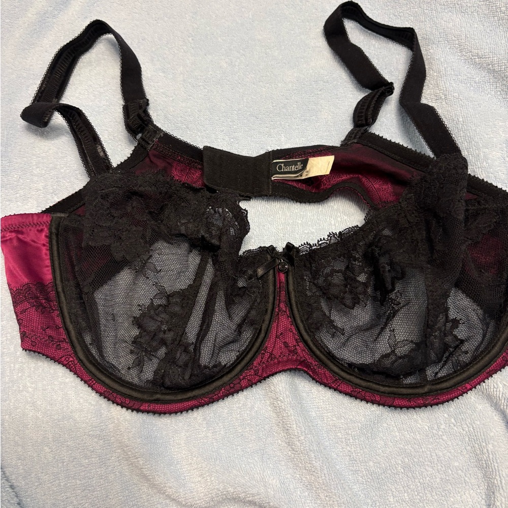 Chantelle Lace Underwire Bra in Burgundy and Black